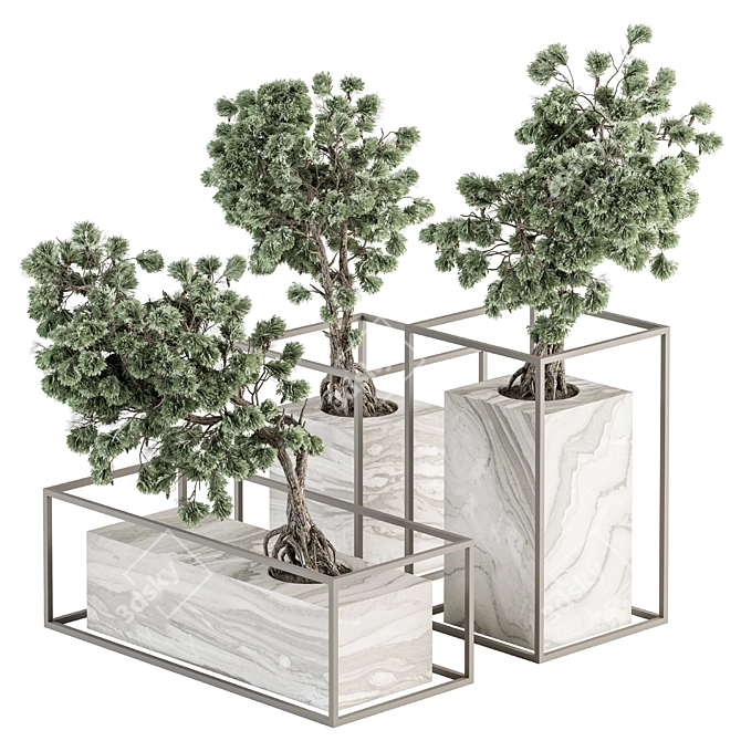 ZenMinds Bonsai Set: Indoor Plant Set 358 3D model image 1