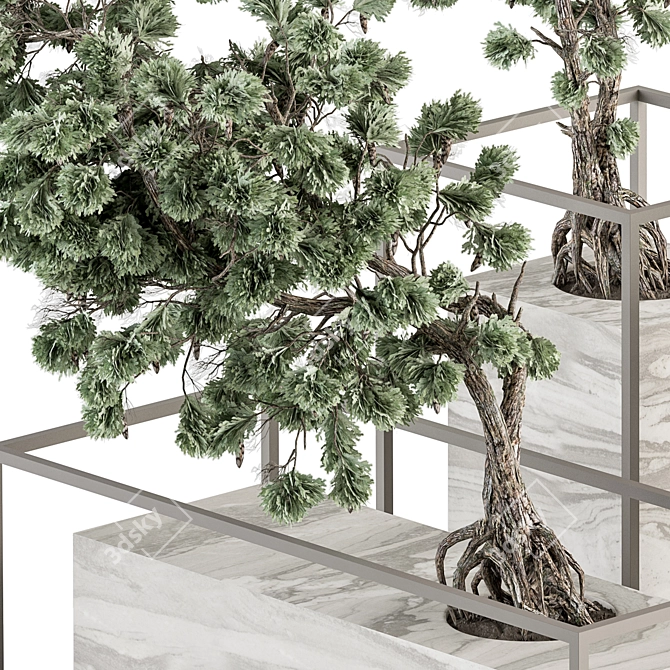 ZenMinds Bonsai Set: Indoor Plant Set 358 3D model image 2