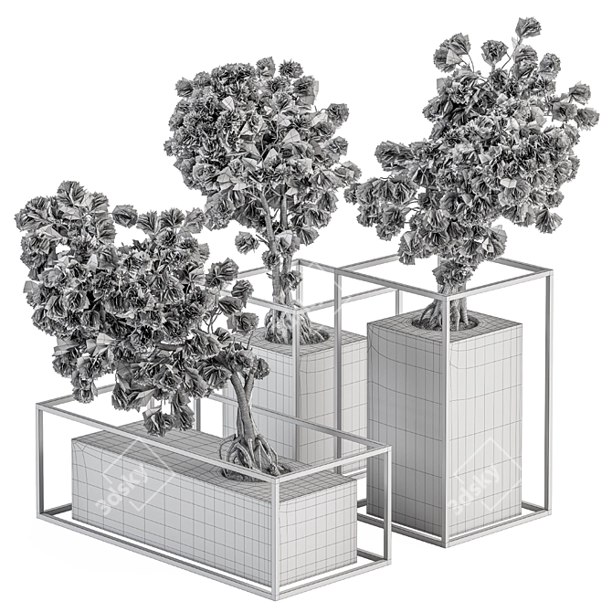 ZenMinds Bonsai Set: Indoor Plant Set 358 3D model image 4