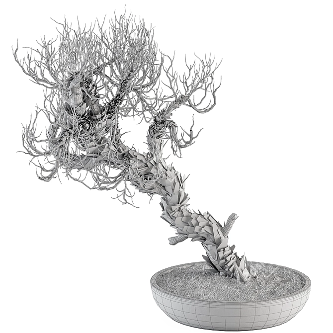 Dry Bonsai Plant Set: Indoor Serenity 3D model image 3