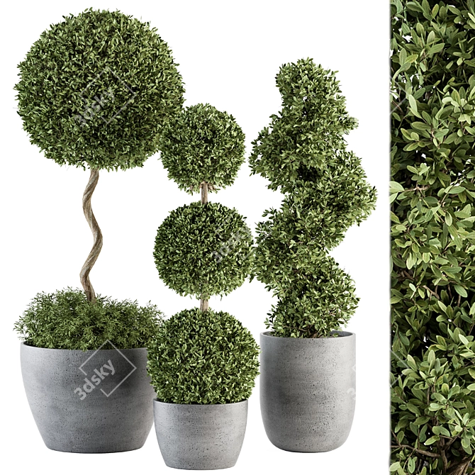 Outdoor Greenery Set: Topiary & Bush 3D model image 1