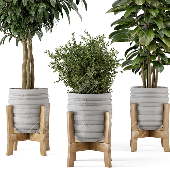  Rustic Concrete Pot with Wooden Base - Indoor Plant Set 3D model image 8