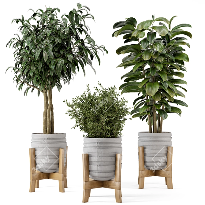  Rustic Concrete Pot with Wooden Base - Indoor Plant Set 3D model image 11