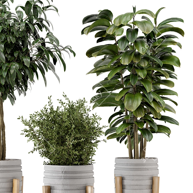  Rustic Concrete Pot with Wooden Base - Indoor Plant Set 3D model image 2