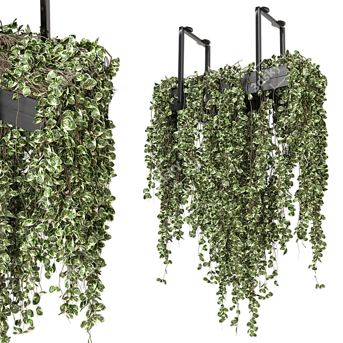 Metal Box Hanging Plants - Set 269 3D model image 1