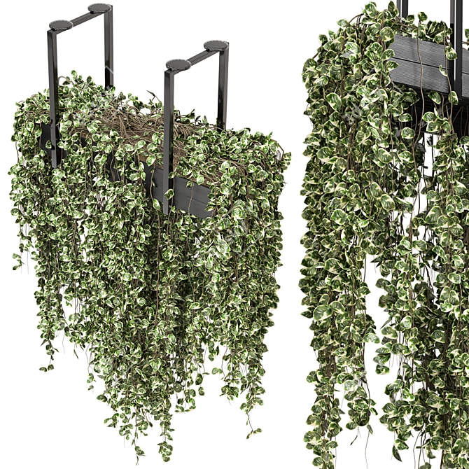 Metal Box Hanging Plants - Set 269 3D model image 2