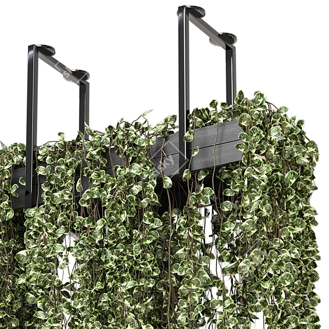 Metal Box Hanging Plants - Set 269 3D model image 3