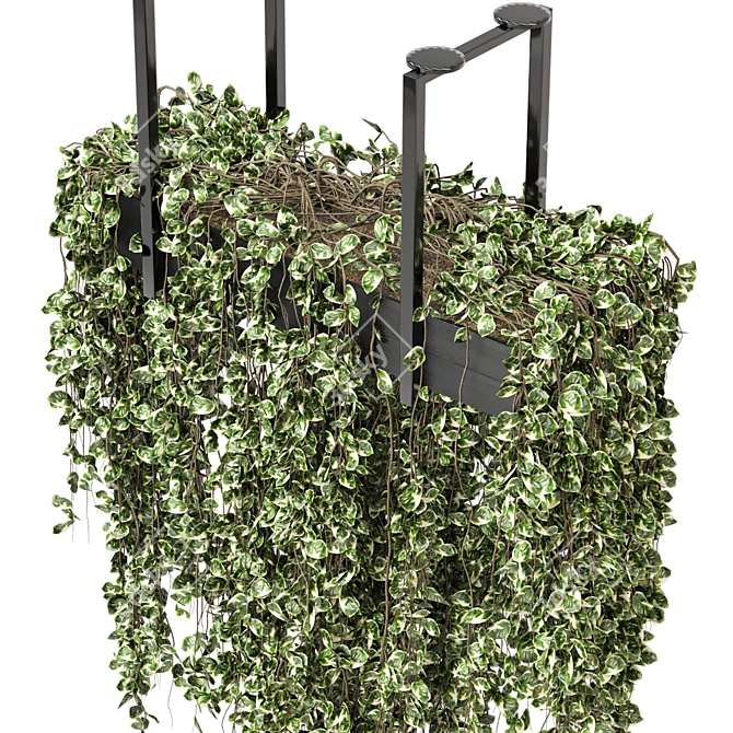 Metal Box Hanging Plants - Set 269 3D model image 4