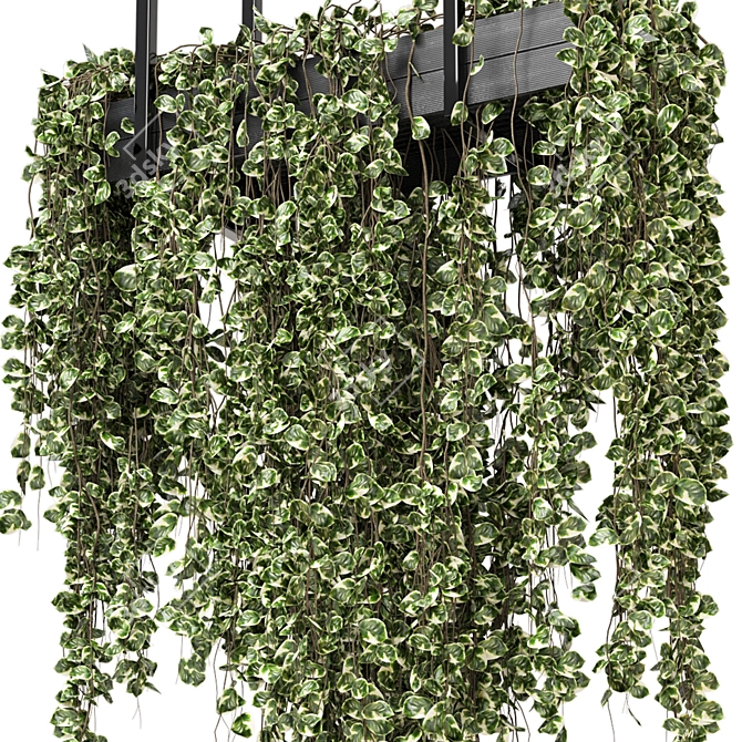 Metal Box Hanging Plants - Set 269 3D model image 5