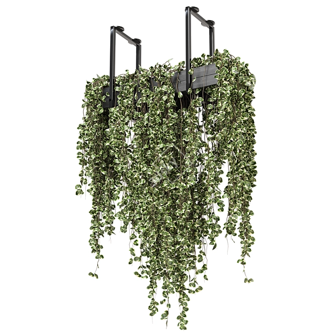 Metal Box Hanging Plants - Set 269 3D model image 6