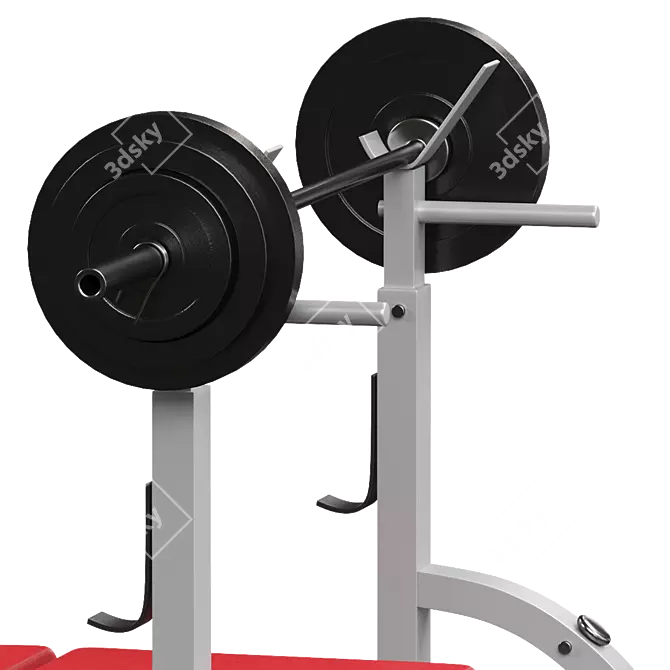 2017 Bench Press Barbell - V-ray Render (3Ds Max 2017, OBJ, FBX) 3D model image 6