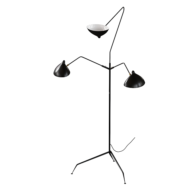 Elegant 3-Arm Floor Lamp 3D model image 1