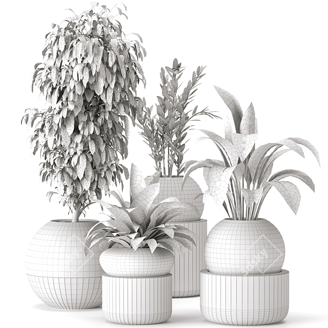 Green Oasis Indoor Plants Collection 3D model image 6