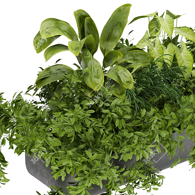 Ultimate Plant Collection Vol. 325 3D model image 2