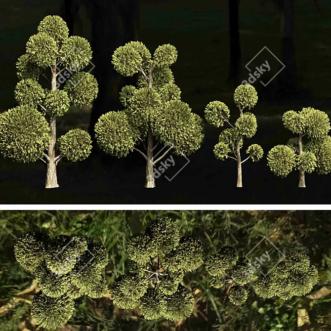 Outdoor Topiary Tree Sculpture 3D model image 3