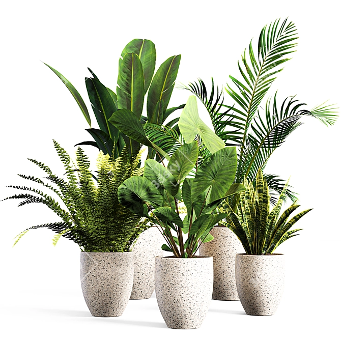 Botanical Bliss: Indoor Plant Set 3D model image 1