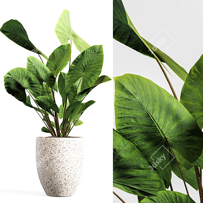 Botanical Bliss: Indoor Plant Set 3D model image 4