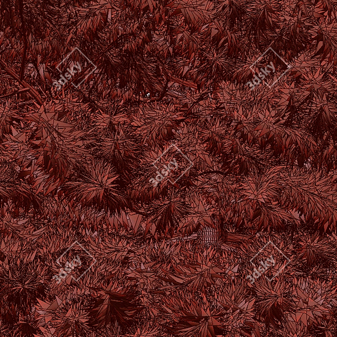 Cilician Fir Tree: Realistic Conifer for Landscapes 3D model image 5