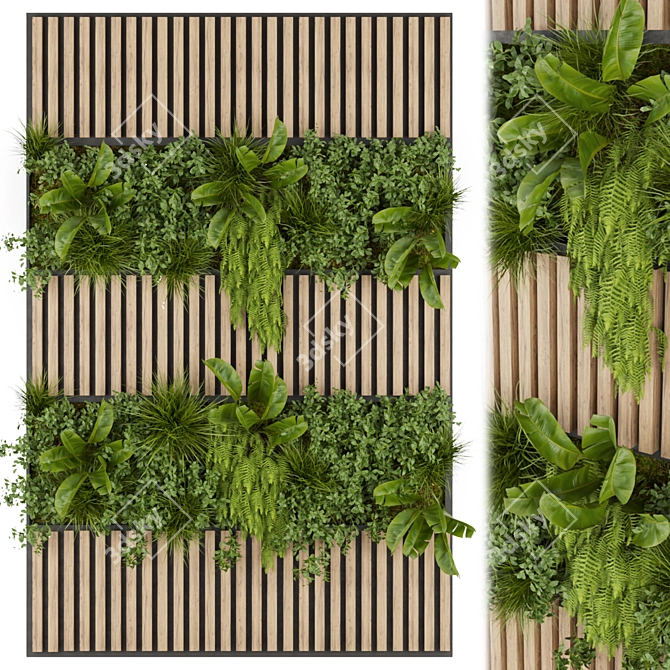 Fitowall Banana Leaf - Collection Plant Vol 326 3D model image 1