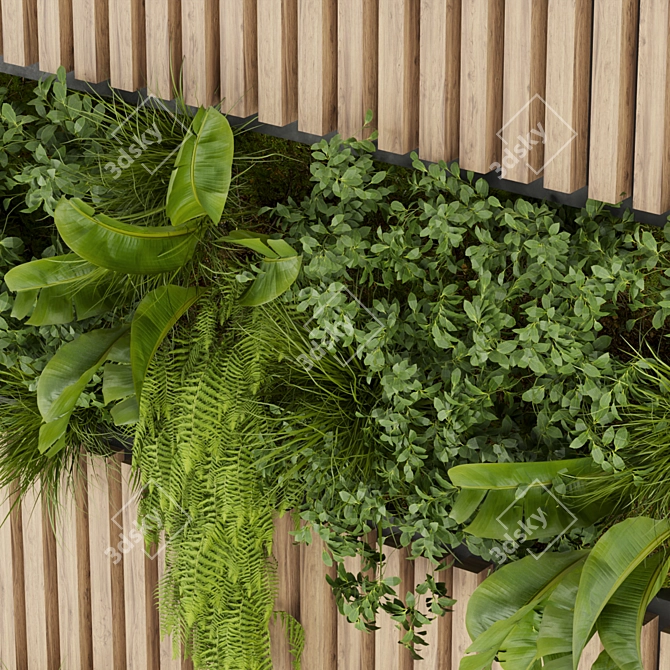 Fitowall Banana Leaf - Collection Plant Vol 326 3D model image 3