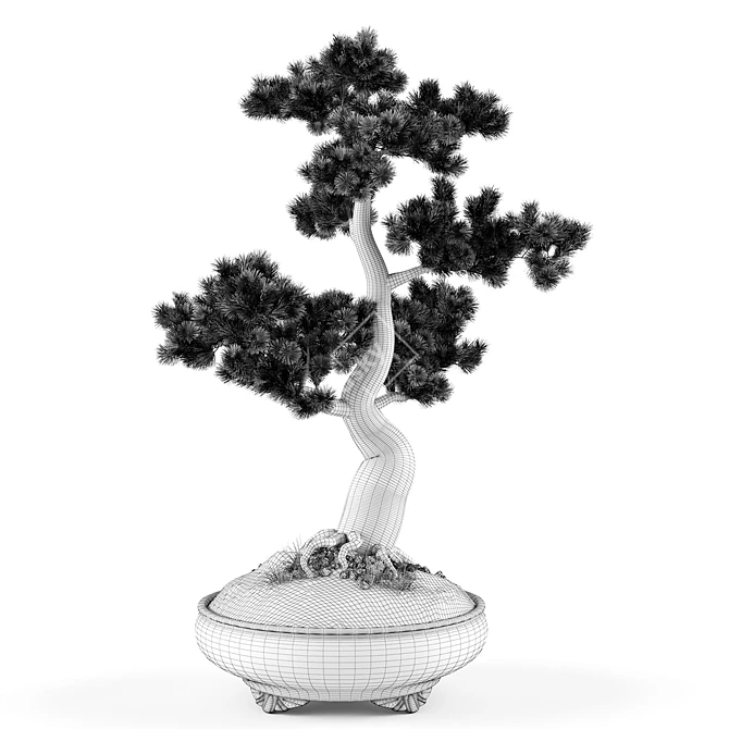 Handcrafted Bonsai Pinus Sylvestris: Miniature Living Art 3D model image 6
