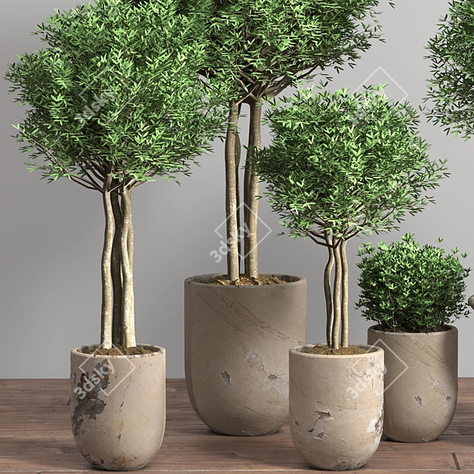 Damaged Plaster Pot: Indoor Plants 3D model image 4