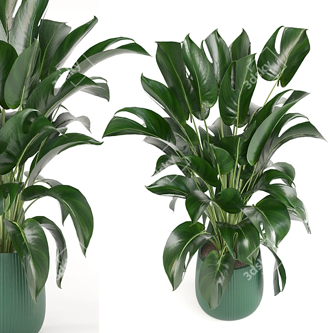 Green Oasis: Indoor Plant Collection 3D model image 2