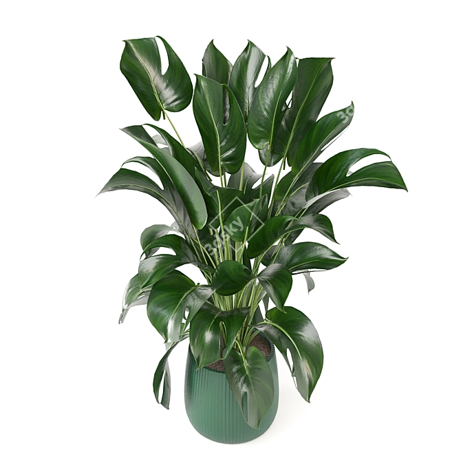 Green Oasis: Indoor Plant Collection 3D model image 6