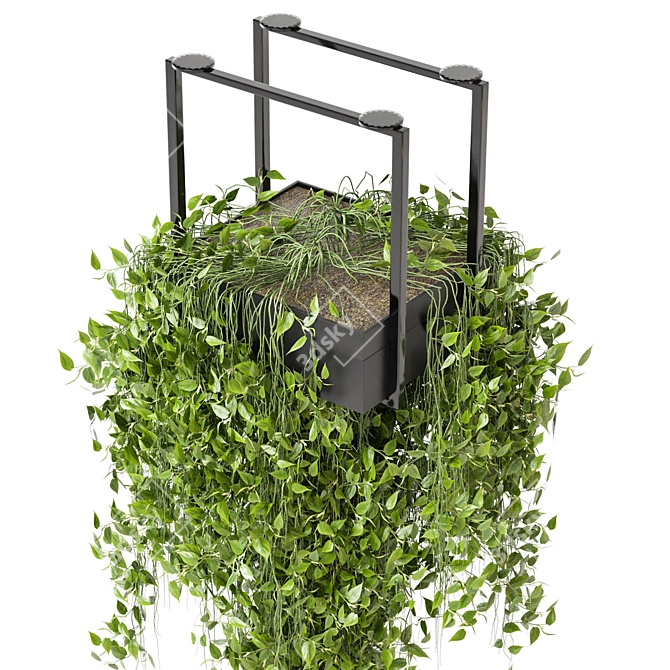 Metal Box Hanging Plants Set 3D model image 4