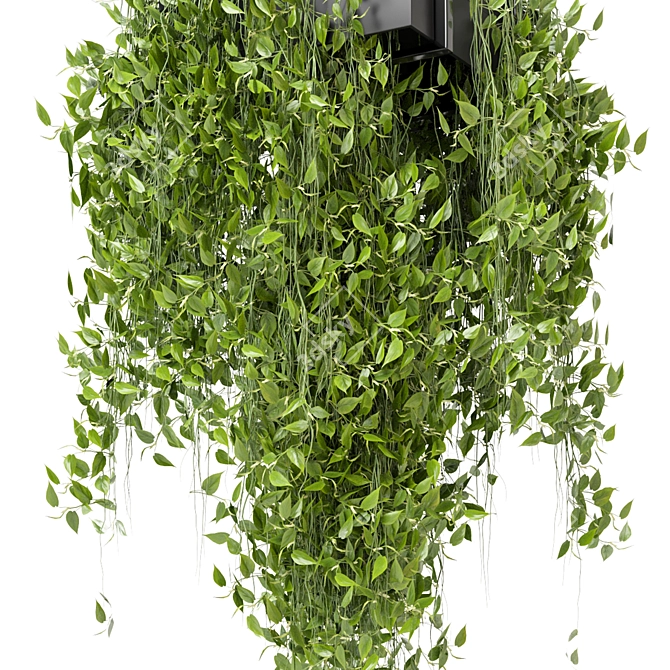 Metal Box Hanging Plants Set 3D model image 5