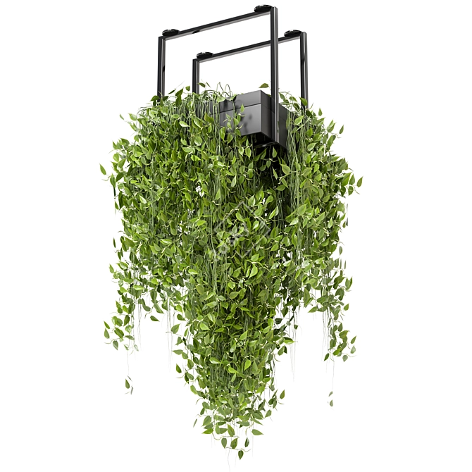 Metal Box Hanging Plants Set 3D model image 6
