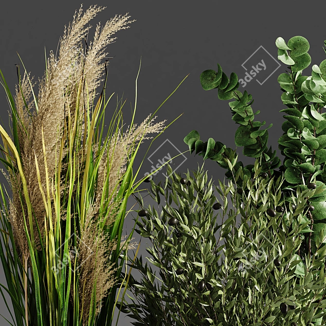 Lush Indoor Plant Collection 3D model image 3