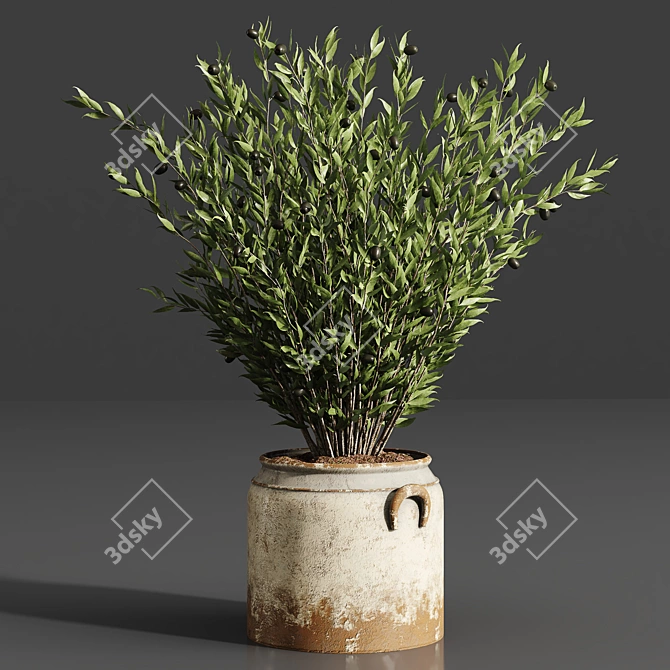 Lush Indoor Plant Collection 3D model image 4