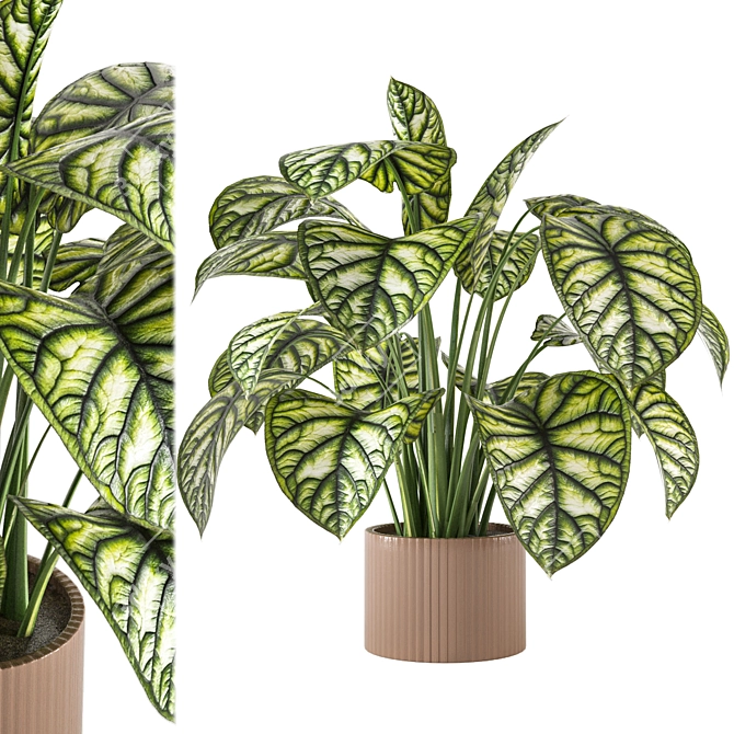 Indoor Plant Collection - Set 273: 3D Models 3D model image 1