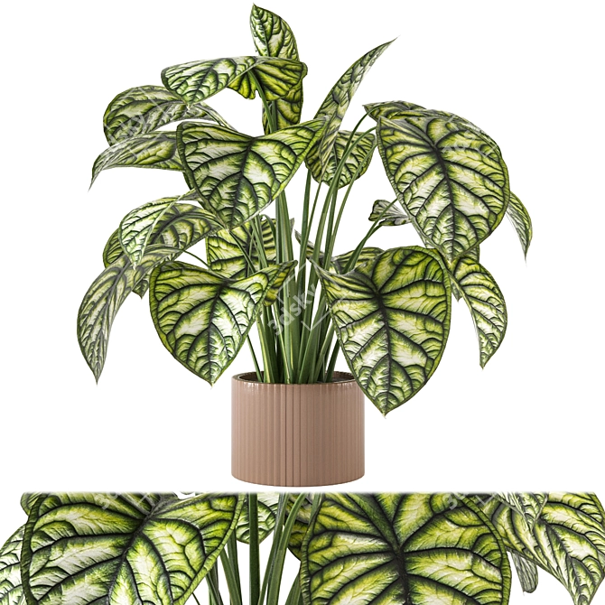 Indoor Plant Collection - Set 273: 3D Models 3D model image 2