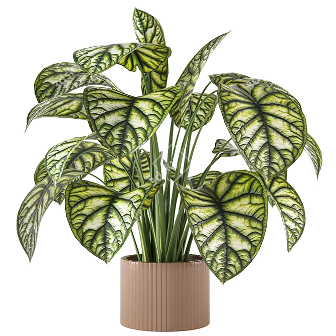 Indoor Plant Collection - Set 273: 3D Models 3D model image 6