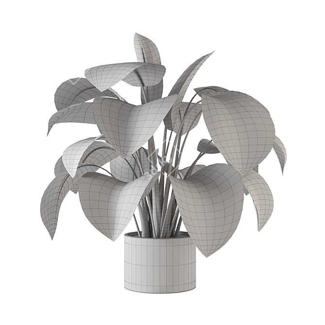 Indoor Plant Collection - Set 273: 3D Models 3D model image 7