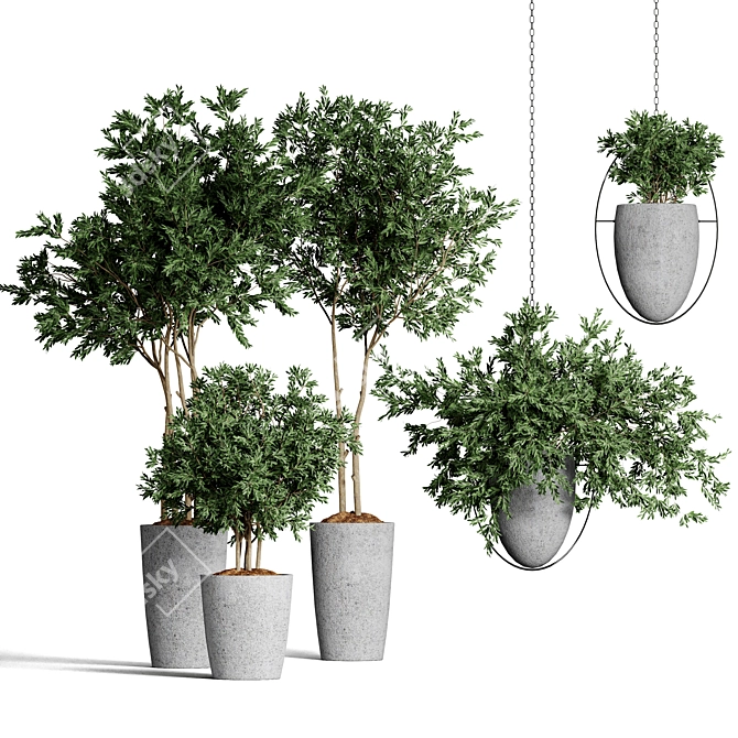 Indoor Plants Collection 62 3D model image 1
