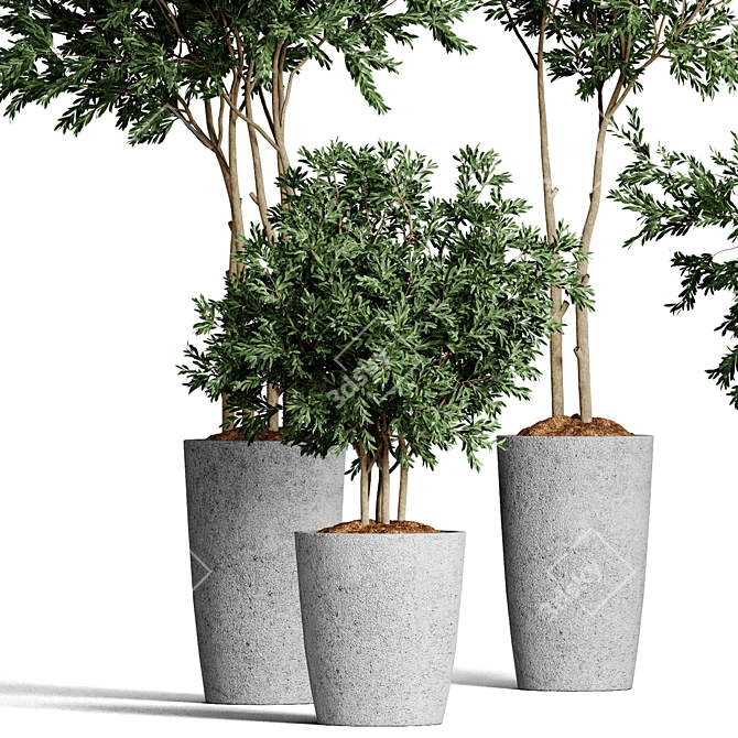 Indoor Plants Collection 62 3D model image 3