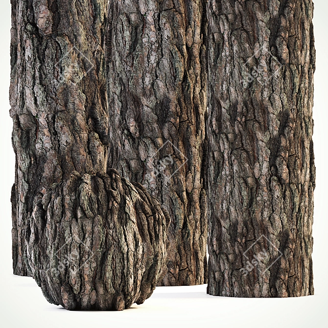 Seamless Pine Bark Texture 3D model image 1
