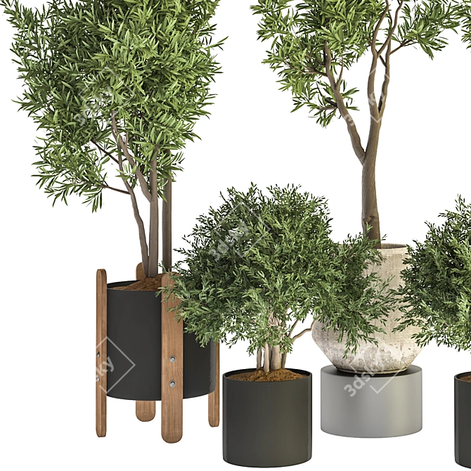 Modern Indoor Plant Design 3D model image 2