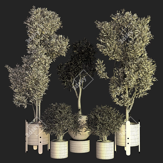 Modern Indoor Plant Design 3D model image 4