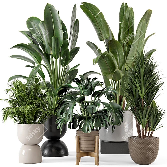 Modern Indoor Plants Set in Bau Pot 3D model image 1