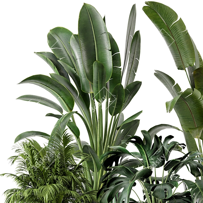 Modern Indoor Plants Set in Bau Pot 3D model image 3