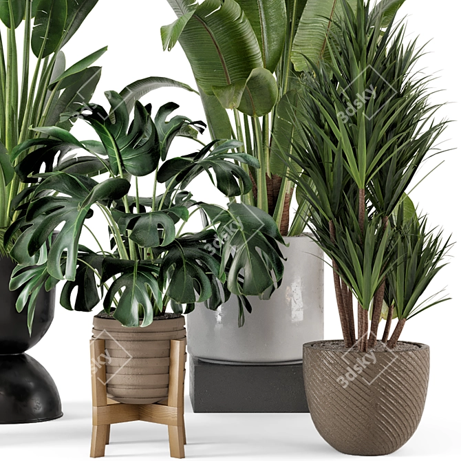 Modern Indoor Plants Set in Bau Pot 3D model image 5