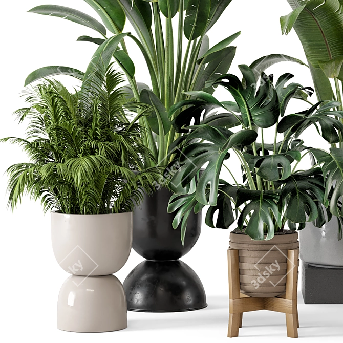 Modern Indoor Plants Set in Bau Pot 3D model image 6