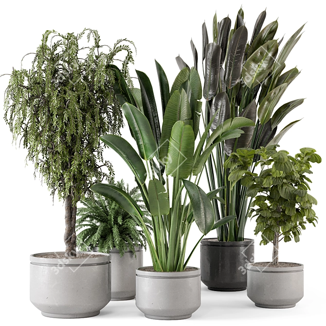  Rusty Concrete Pot Indoor Plants - Set 561 3D model image 1