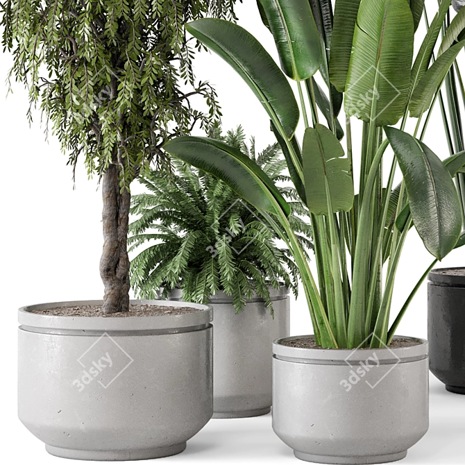  Rusty Concrete Pot Indoor Plants - Set 561 3D model image 4