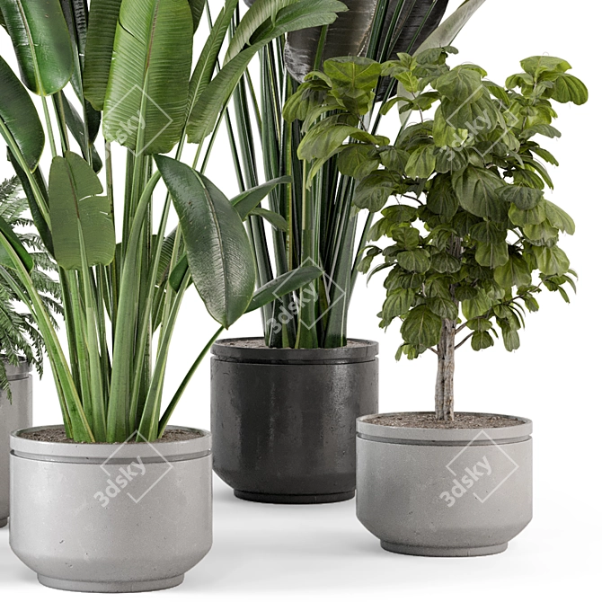  Rusty Concrete Pot Indoor Plants - Set 561 3D model image 5