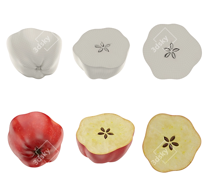 Apple Slice Texture Set 3D model image 5